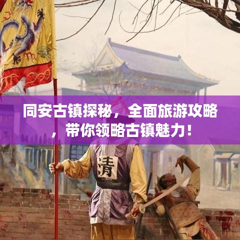 2025年6月3日 第5页