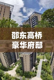 邵东高桥豪华府邸出售信息大盘点