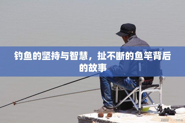 钓鱼的坚持与智慧，扯不断的鱼竿背后的故事