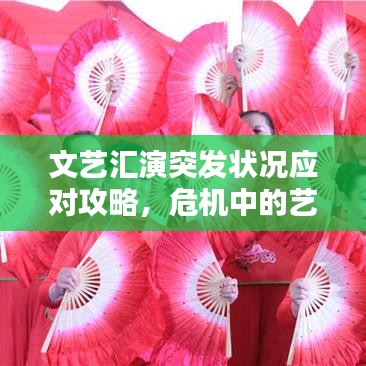 文艺汇演突发状况应对攻略，危机中的艺术守护之道
