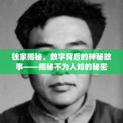 独家揭秘，数字背后的神秘故事——揭秘不为人知的秘密