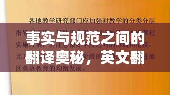 事实与规范之间的翻译奥秘，英文翻译揭秘！
