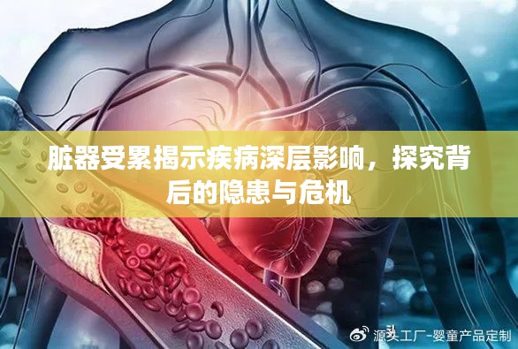 脏器受累揭示疾病深层影响，探究背后的隐患与危机
