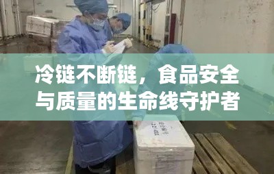 冷链不断链，食品安全与质量的生命线守护者