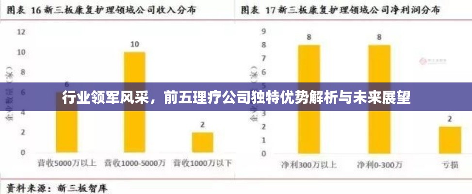 行业领军风采，前五理疗公司独特优势解析与未来展望