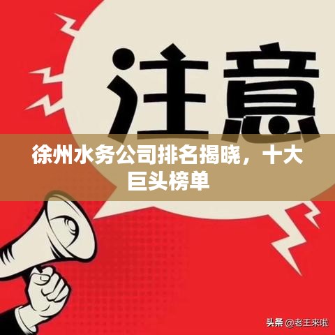 徐州水务公司排名揭晓，十大巨头榜单