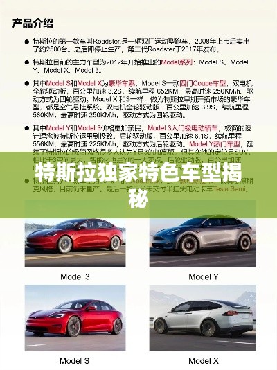 特斯拉独家特色车型揭秘