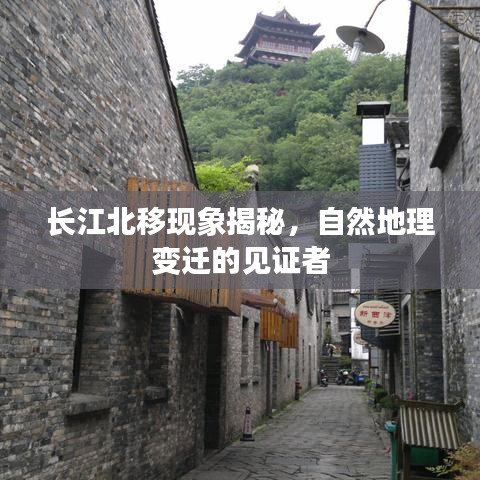 2025年6月11日 第3页