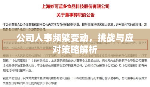 公司人事频繁变动，挑战与应对策略解析