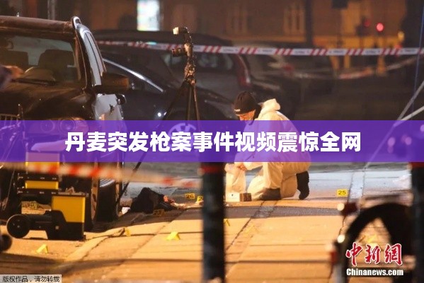 丹麦突发枪案事件视频震惊全网
