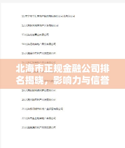 北海市正规金融公司排名揭晓，影响力与信誉度一览