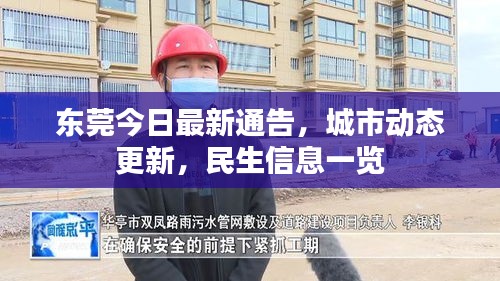 东莞今日最新通告，城市动态更新，民生信息一览