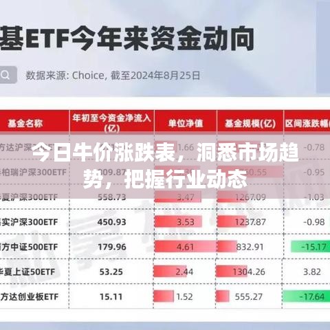 2025年6月14日 第4页