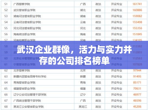 武汉企业群像，活力与实力并存的公司排名榜单