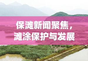 保滩新闻聚焦，滩涂保护与发展引领时代潮流