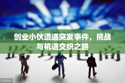 创业小伙遭遇突发事件，挑战与机遇交织之路