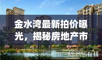 金水湾最新拍价曝光，揭秘房地产市场最新动态！