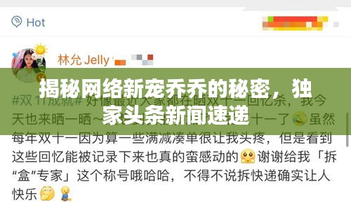 揭秘网络新宠乔乔的秘密，独家头条新闻速递