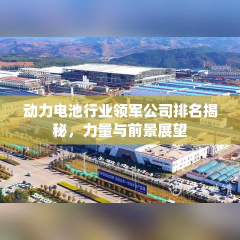 动力电池行业领军公司排名揭秘，力量与前景展望