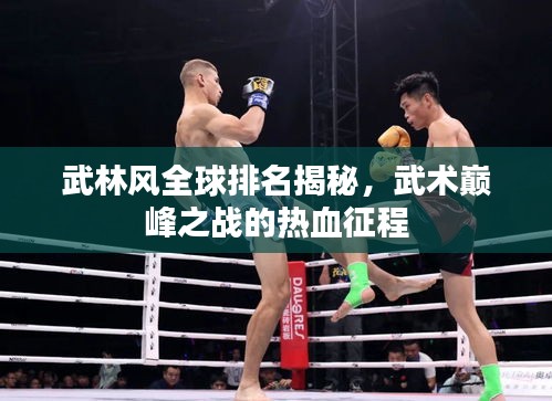 武林风全球排名揭秘，武术巅峰之战的热血征程