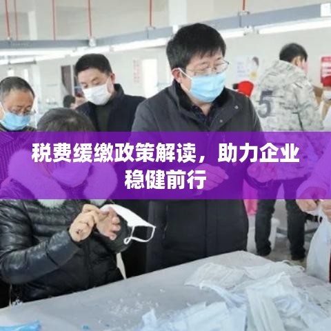 税费缓缴政策解读，助力企业稳健前行