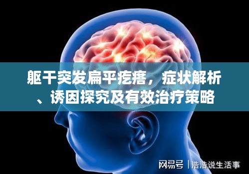 2025年6月 第12页