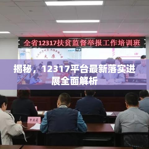 揭秘，12317平台最新落实进展全面解析
