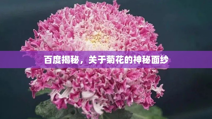 2025年6月 第10页