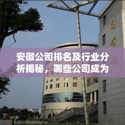 安徽公司排名及行业分析揭秘，哪些公司成为人才招募巨头？