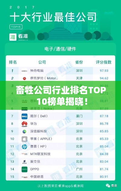 畜牲公司行业排名TOP 10榜单揭晓！
