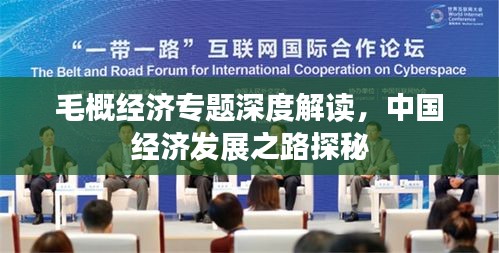 毛概经济专题深度解读，中国经济发展之路探秘