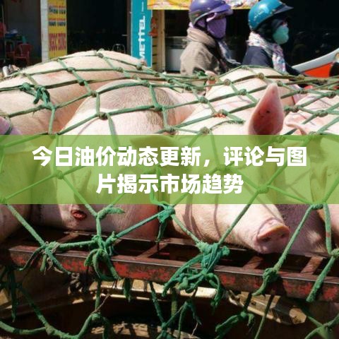 今日油价动态更新，评论与图片揭示市场趋势