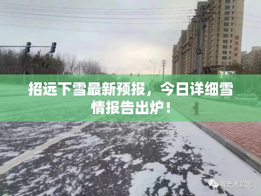 招远下雪最新预报，今日详细雪情报告出炉！