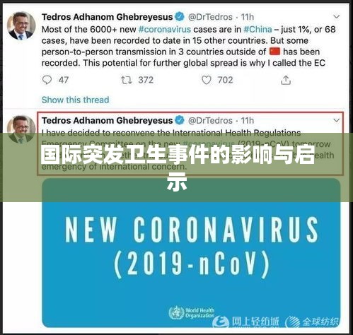 国际突发卫生事件的影响与启示