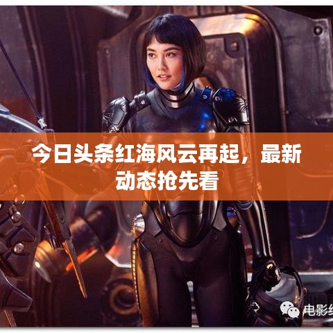 今日头条红海风云再起，最新动态抢先看