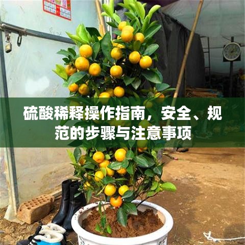 硫酸稀释操作指南，安全、规范的步骤与注意事项