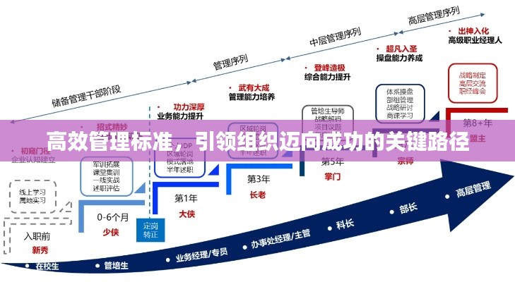 高效管理标准，引领组织迈向成功的关键路径