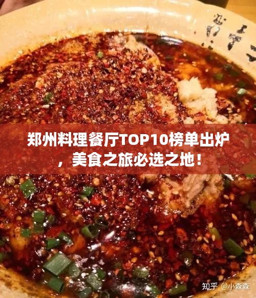 郑州料理餐厅TOP10榜单出炉，美食之旅必选之地！