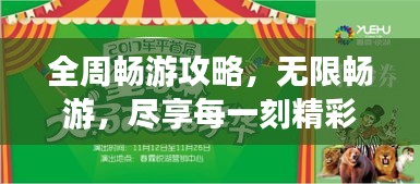 全周畅游攻略，无限畅游，尽享每一刻精彩时光！