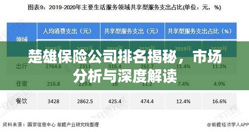 楚雄保险公司排名揭秘，市场分析与深度解读